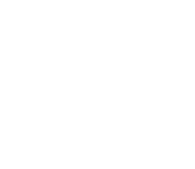 BSP Logo
